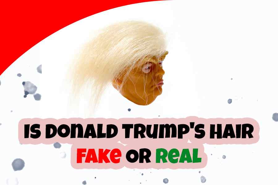 Is Donald Trump's Hair Fake Or Real