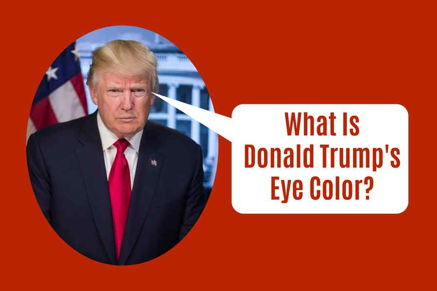What Is Donald Trumps Eye Color