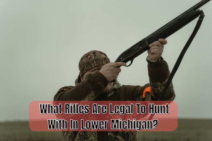 What Rifles Are Legal To Hunt With In Lower Michigan