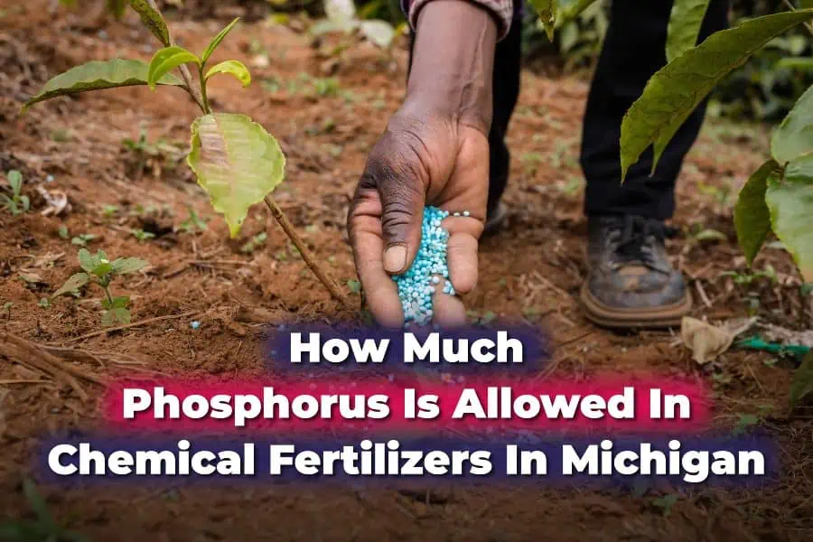 How Much Phosphorus Is Allowed In Chemical Fertilizers In Michigan.