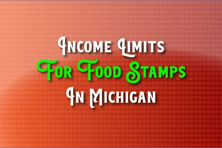 Income Limits For Food Stamps In Michigan