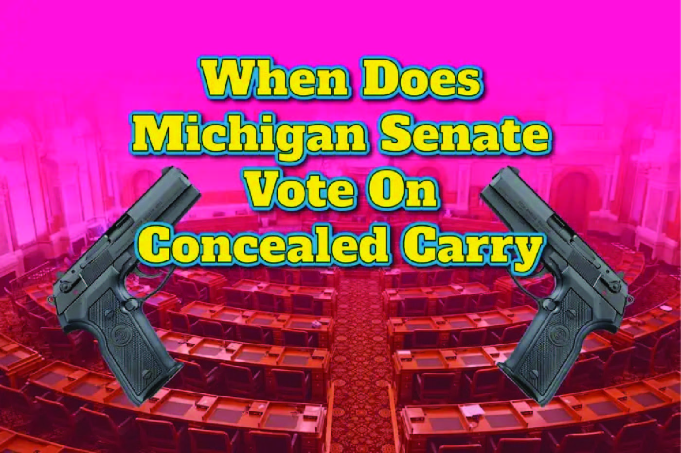 When Does Michigan Senate Vote On Concealed Carry