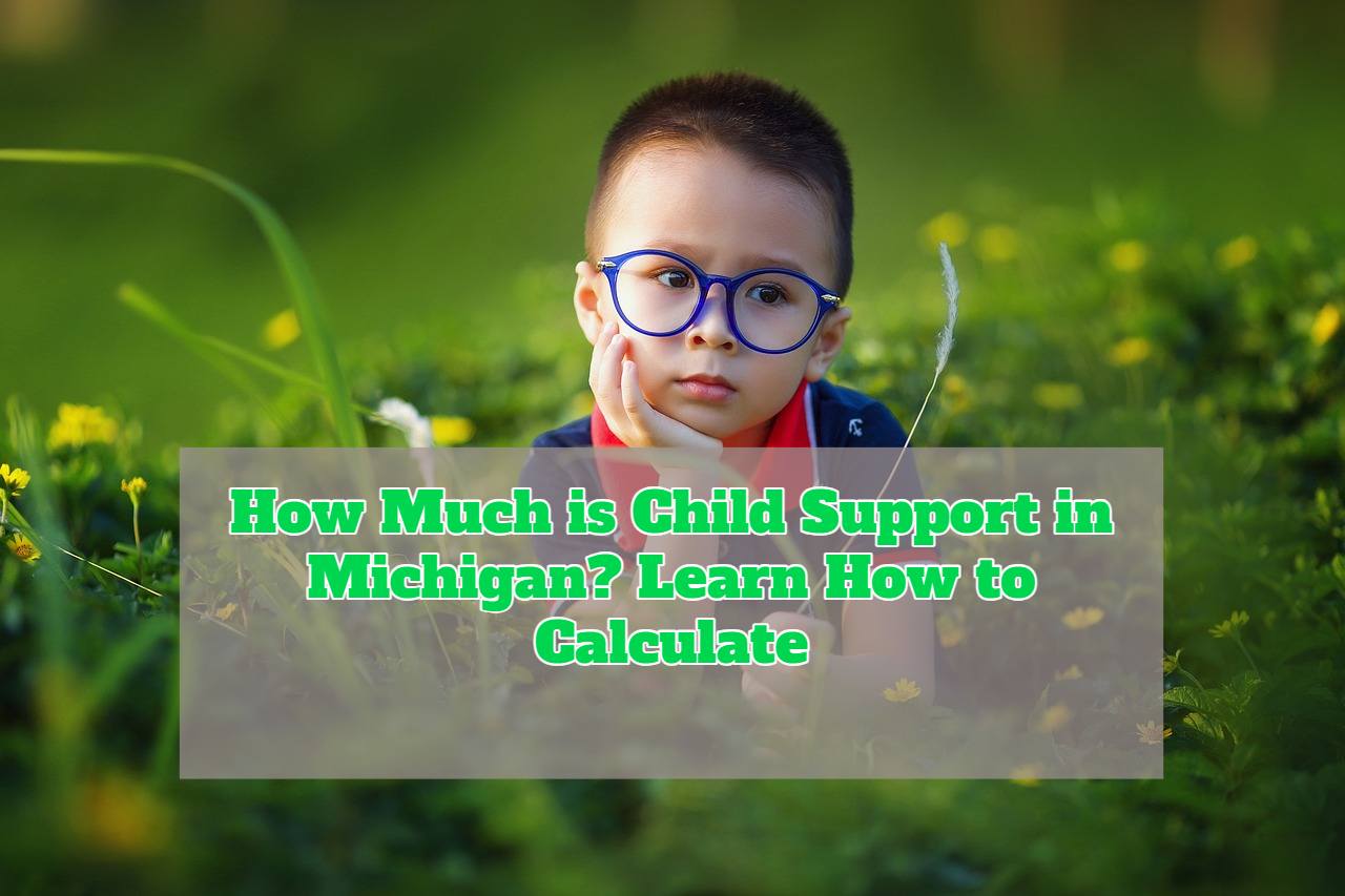 How Much is Child Support in Michigan