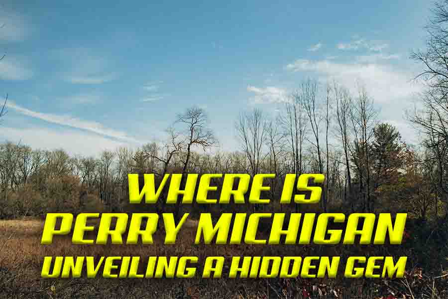 Where is Perry Michigan