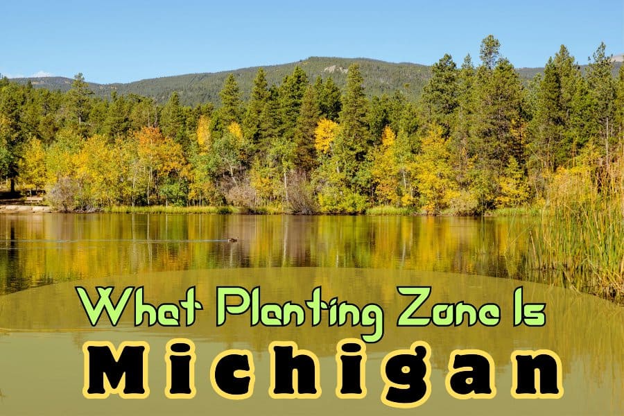 What Planting Zone Is Michigan